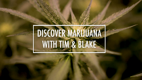 Medical Marijuana for Mental Health | Q&A with Tim & Blake