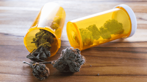 utah medical cannabis recommendation prescription pharmacist