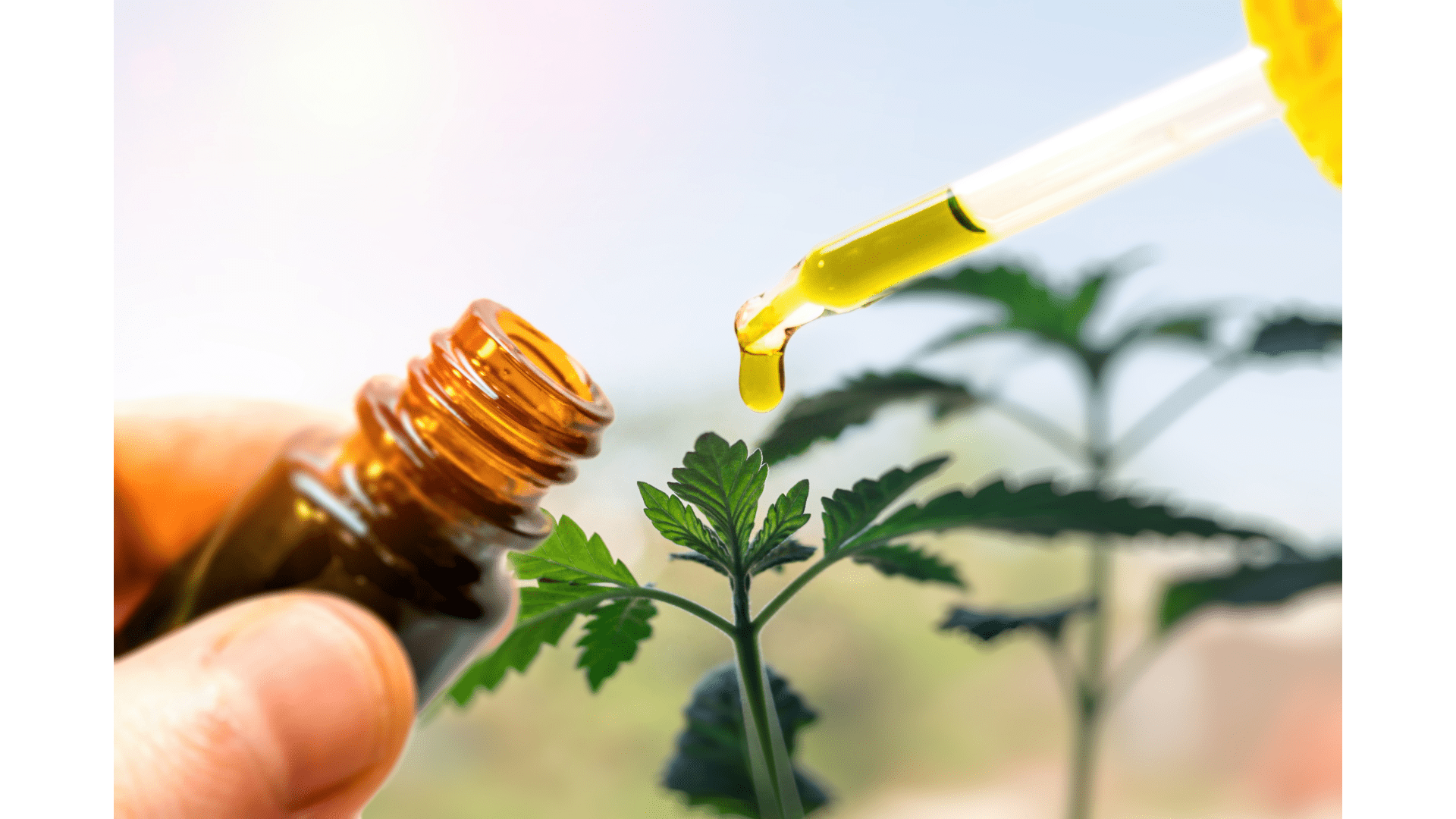 CBD for Children: What You Should Know