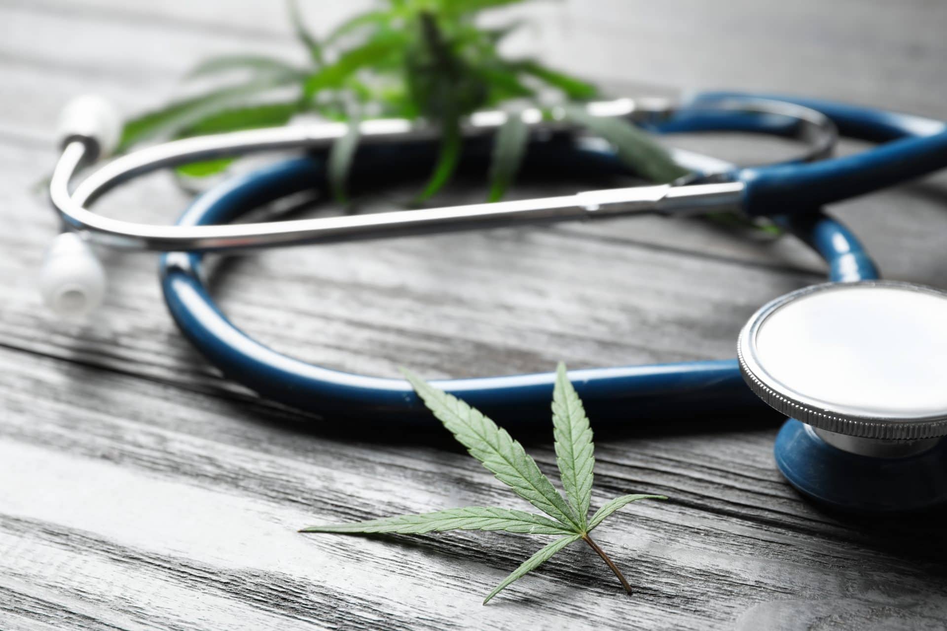 Can Visiting Family Members Use Medical Cannabis in Utah?