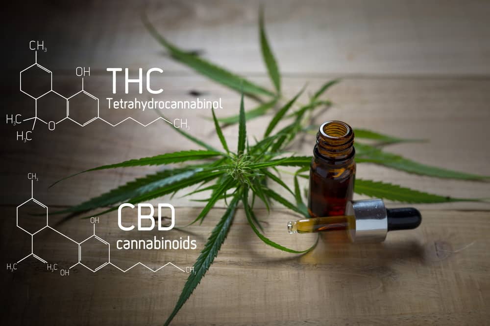 Study Suggests that CBD Can Reduce a THC High